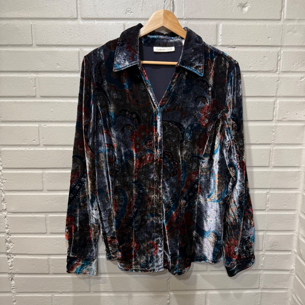 Coldwater Creek Paisley Velvet Button Blouse Sheen Long Sleeve M Whimsigoth Boho
